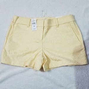 ANN TAYLOR SHORT